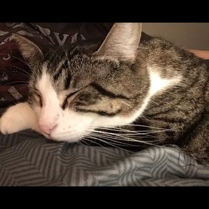 Meet your Posher, Sophia